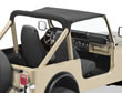 Strapless Bikini&reg; tops for CJ-5, 80-83