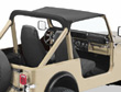 Strapless Bikini&reg; tops for CJ-7, 80-86